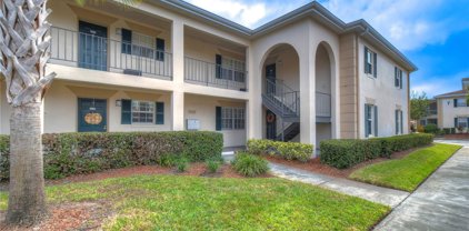 10316 Carrollwood Court Unit 58, Tampa