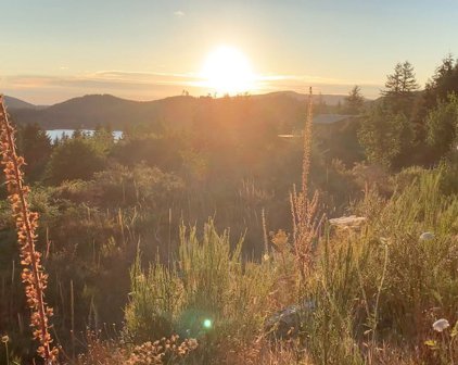 924 Turkey Road NW, Olympia