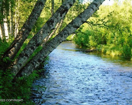 Tr C Mi 9 S Parks Highway, Talkeetna