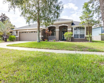 6817 Cromwell Garden Drive, Apollo Beach