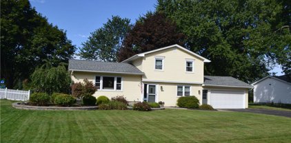 695 Shadowwood  Lane, Webster-265489