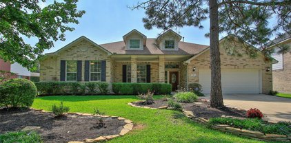 99 Prairie Dawn Circle, The Woodlands
