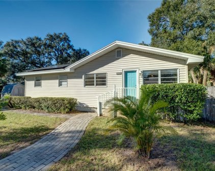 6604 N Elizabeth Street, Tampa