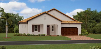 17321 Scuba Crest Street, Wimauma