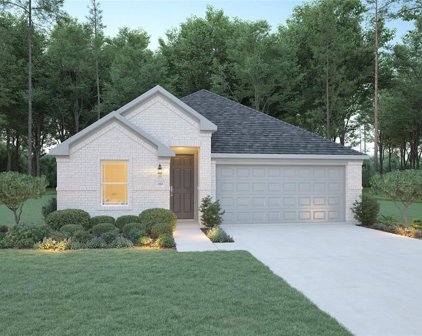 2915 Parthenon Place, New Caney