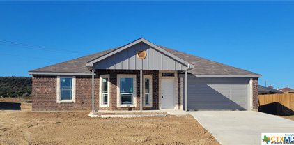 3209 Goblin Drive, Killeen