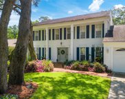 16909 Rolling Rock Drive, Tampa image