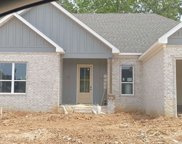 5152 Peace, Alexander image
